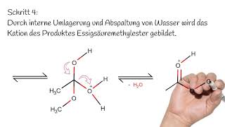 Die säurekatalysierte Veresterung  Reaktionsmechanismus  Organische Chemie [upl. by Amoreta]