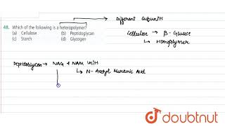 Which of the following is a heteropolymer   11  BIOMOLECULES  BIOLOGY  NCERT FINGERTIPS  D [upl. by Inal]