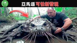 亞馬遜雨林的變種鱷魚？他們意外地記錄了亞馬遜叢林中令探險家感到恐懼的事物，簡直嘆為觀止！ 【探索旅行號】 [upl. by Ethel523]