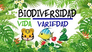 🌿 ¿Qué es la BIODIVERSIDAD 🐝 Fácil y Rápido  BIOLOGÍA [upl. by Pebrook]