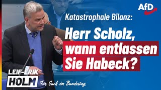 Herr Scholz wann entlassen Sie Habeck  LeifErik Holm MdB [upl. by Erich]