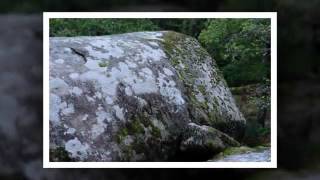 Géobiologie et coévolution quantique  Mégalithe en Limousin [upl. by Burnard]