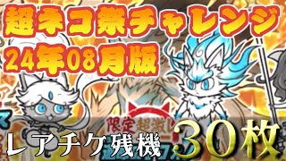 【にゃんこ大戦争】超ネコ祭でも金メダル級の引きがしたい！ 24年8月超ネコ祭チャレンジ 最大30枚 [upl. by Wojak260]