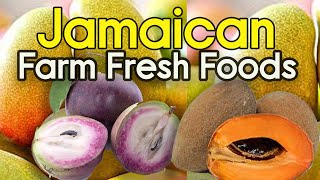 Jamaican Farm Fresh Food Star Apples Mangoes  Mamey fruit [upl. by Leynad]