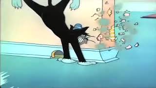 Tom And Jerry Scream Compilation 2024 Part 12 [upl. by Lolanthe951]