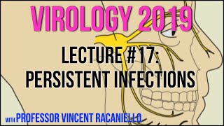 Virology Lectures 2019 17 Persistent Infections [upl. by Carmelle]