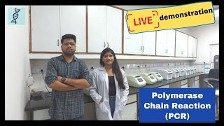 Polymerase Chain Reaction PCR Live demonstration Practical process for PCR [upl. by Direj]