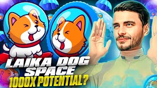 LAIKA DOG SPACE MEME DA REDE SOLANA  MEME TOKEN ON SOALNA 🔥BUY NOW [upl. by Pettifer]