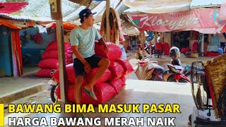 Harga Bawang Merah Hari Ini Naik Bawang Merah dari Bima Masuk Ke Pasar Sukomoro Nganjuk [upl. by Ellednahs]