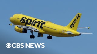 Spirit Airlines dropping some junk fees in bid to win customers [upl. by Lipski365]