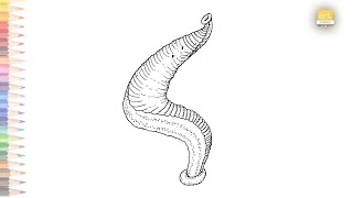 Leech science diagram easy  How to draw A Leech step by step  Science diagram [upl. by Ahseal]