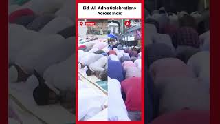 Eid 2024 Devotees Across India Offer Namaz on EidulAdha [upl. by Drawoh]