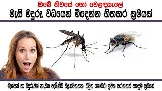 මැසි මදුරු උවදුර සහමුලින්ම නැතිකරන්න Totally repel mosquitoes and flies from your residence [upl. by Esiom]