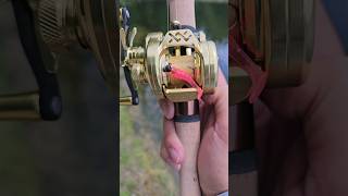 Ultimate Ultralight Baitcasting Reel with DC Braking fishing [upl. by Groscr]