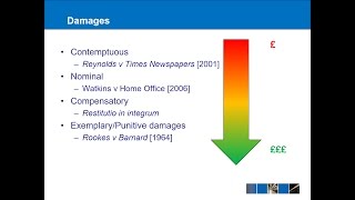 Tort Law  Remedies [upl. by Kruse915]