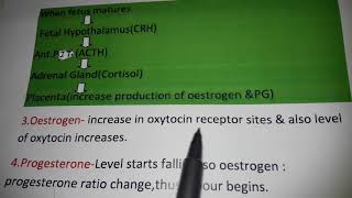 Labor its causes and its stages [upl. by Bern]