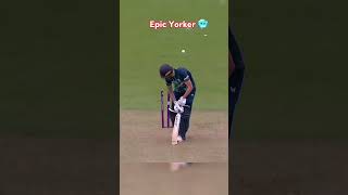 Bumrah Dangerous Yorkers in Cricket History 💥 cricket shorts [upl. by Iegres537]