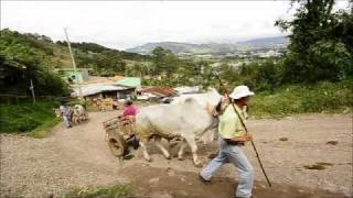 BOYEROS COSTA RICA [upl. by Chancey]