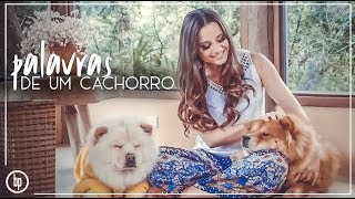 Bruna Pinheiro  Palavras de Um Cachorro [upl. by Bromley]