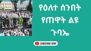 የጠዋት ልዩ ጉባኤቀጥታ ጉለሌ ጽርሐ አርያም ቅዱስ ሩፋኤል832017 [upl. by Nryhtak]