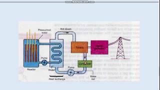 Types of Reactors [upl. by Idihsar455]