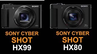 Sony Cyber Shot HX99 Vs Sony Cyber Shot HX 80 [upl. by Nosredneh]