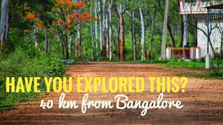 Places to Visit in and around Bangalore in 2020  Thattekere Lake  Offbeat places for Nature Lovers [upl. by Carnay]