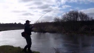 Laksefiskeri ved Skjern Å  90cm Laks genudsat på HSFs fiskevand  GoneFishingdk [upl. by Cristy599]