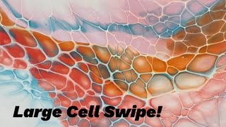 2 Large Stretched Cells Swipe [upl. by Tjader575]