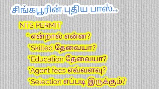 Singapore Nts permit details salaryEducation Agent fees Singapore new passNts permit tamil [upl. by Enoob799]