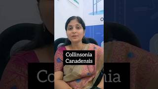 1 minute learning collinsonia bhms bhmsexams homeopathicmedicine homeopathy keynotes [upl. by Noak]