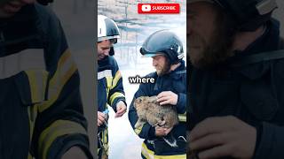 Rescue Missions and Unusual Pets Heartwarming Stories in 60 Seconds [upl. by Yelsiap251]