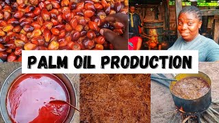 Step by Step of PALM OIL PRODUCTION PROCESSESHow to produce Palm oil at HOMEGracious Tales [upl. by Ahilam]