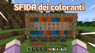 SFIDA DEI COLORANTI su MINECRAFT ITA [upl. by Nangem]