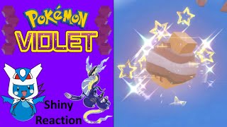 Pokemon Violet Shiny Nacli Reaction 2 [upl. by Akenihs203]