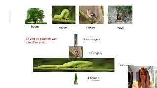 Samenvatting Ecologie amp Duurzaamheid 2MHV Biologie Voor Jou MAX [upl. by Maharba75]