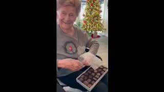 Grandma Helgesen Last Video I have [upl. by Aicenet]