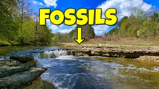 These Alabama River Banks Are LOADED With Dinosaur Age Fossils and Other Treasures [upl. by Ynnaj680]