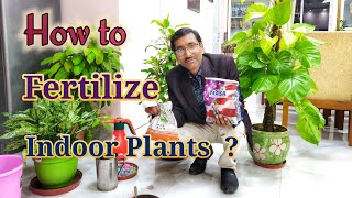 How to Fertilize your indoor Plants [upl. by Maidie]