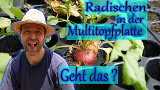 Große Runde durch den Topfgarten  Der Garten im Juni [upl. by Devonne]