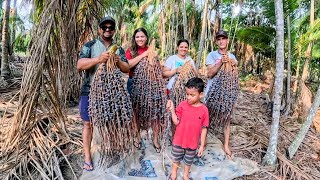 VLOG NOSSO DIA NA ROÇA COM NOSSOS AMIGOS CATAMOS BACABA E OLHA OQUE FIZEMOS [upl. by Zohara]