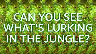 Stereogram Challenge 22  Whats Lurking in the Jungle [upl. by Sirak]