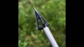 Broadhead Performance Test Discover the Best for Your Huntarrowheads hunting outdoorsshorts [upl. by Naam]