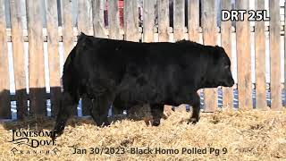 Lonesome Dove Bull Lot DRT 25L sells Friday March 1 2024 [upl. by Baggott]