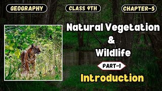 Natural Vegetation amp Wildlife  Introduction Part1  CBSE Class 9th  Geography Chapter5 [upl. by Remoh10]