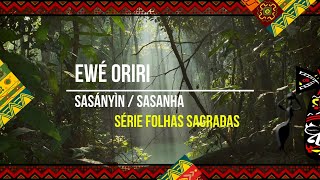 Ewe Oriri  Ewé Rinrin  Sasányìn  Sasanha  Série Folhas Sagradas [upl. by Joleen]