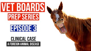 Vet Boards Prep  Episode 3 Equine Piroplasmosis  A Foreign Threat You Need to Know [upl. by Otrevlig523]