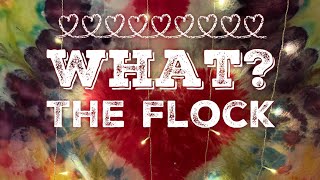 What The Flock No84 [upl. by Bahner]