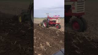 Farmall 460 and John Deere 620 pulling 3 bottoms apiece [upl. by Adnhoj]