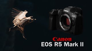 Fotografía de FAUNA con Canon EOS R5 Mark II ¿Merece la pena el cambio de cámara desde R5 [upl. by Lirva]